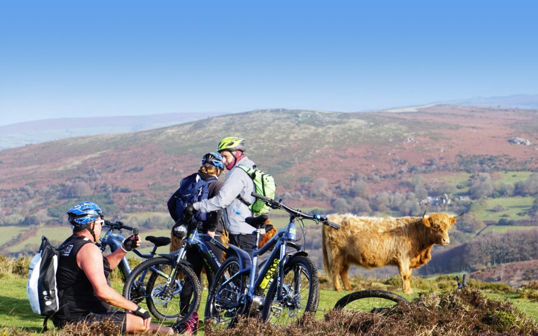 Devon Safaris