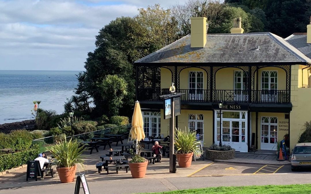 The Ness, Shaldon