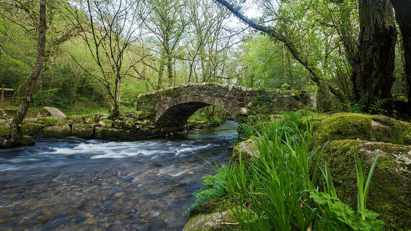 Pullabrook Woods Finlake